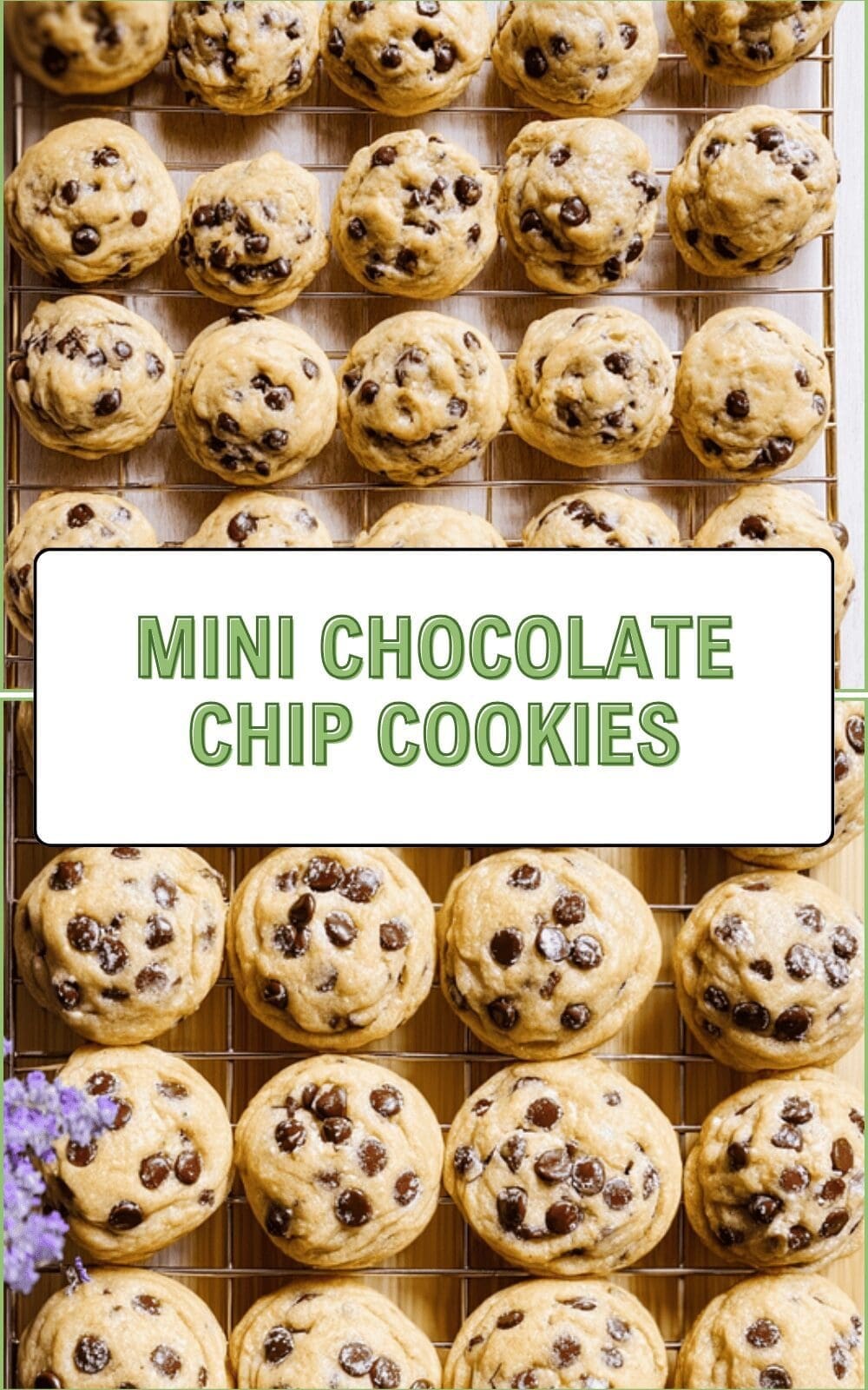 Chocolate Chip Cookie Bites Recipes For Quick And Tasty Treats 6 Mini Chocolate Chip Cookies