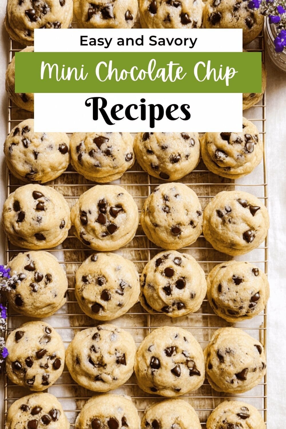 Mini Chocolate Chip Cookies