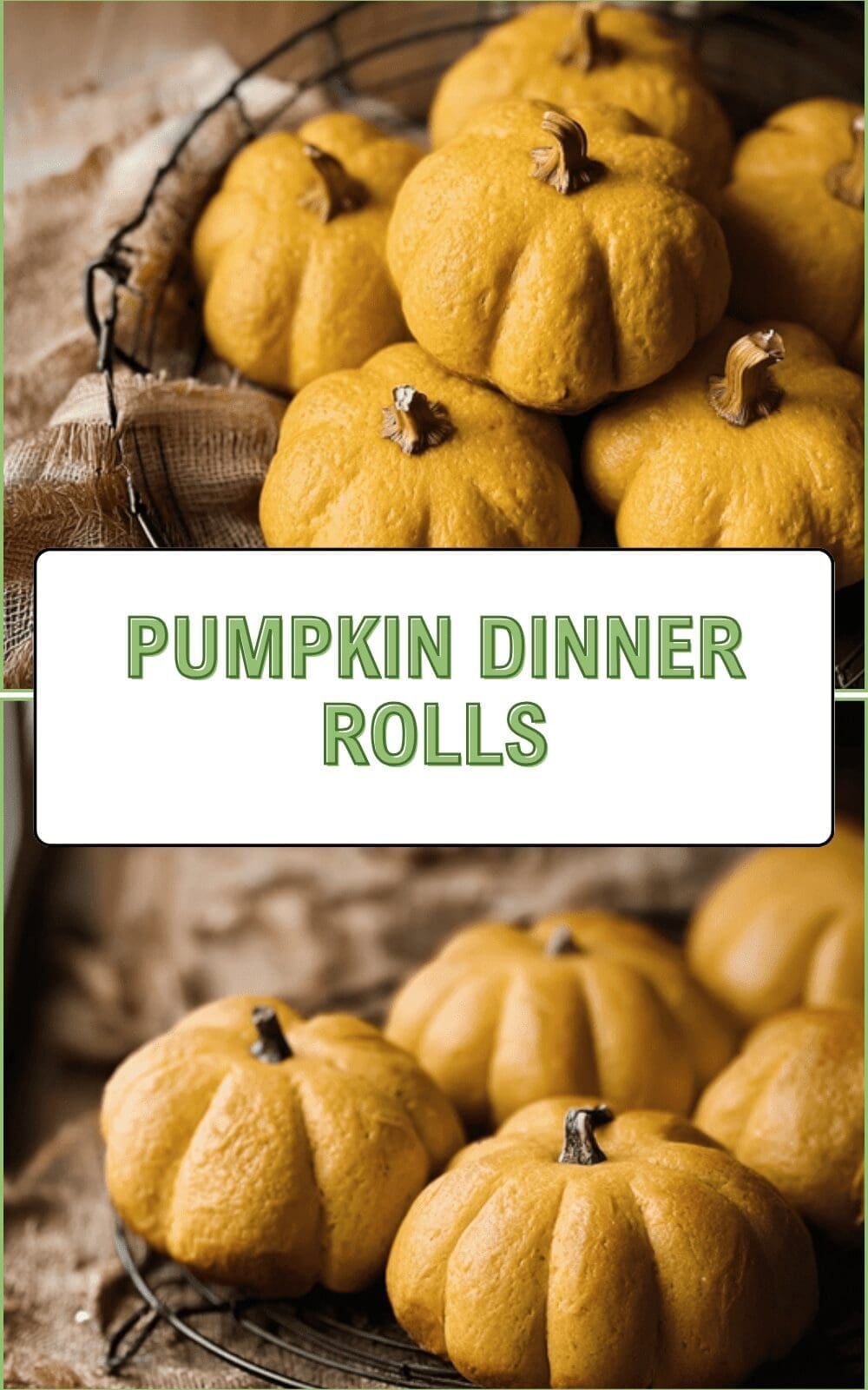 Pumpkin Dinner Rolls