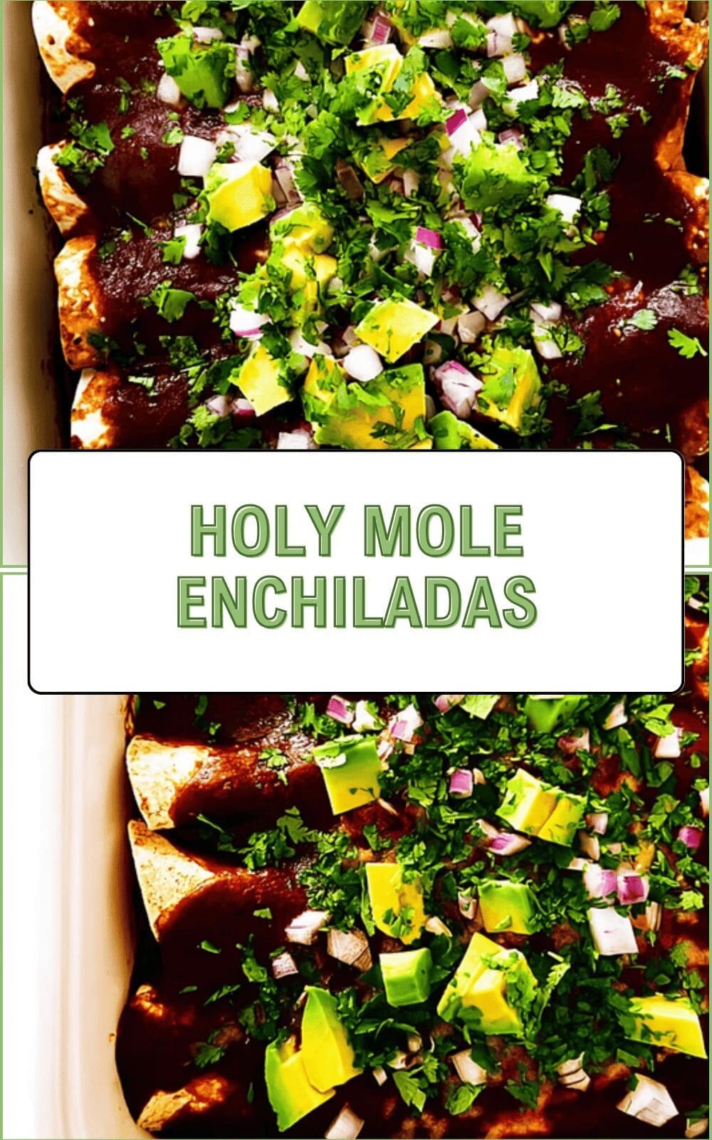 Holy Mole Enchiladas