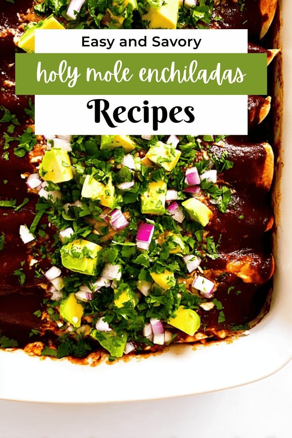 Holy Mole Enchiladas