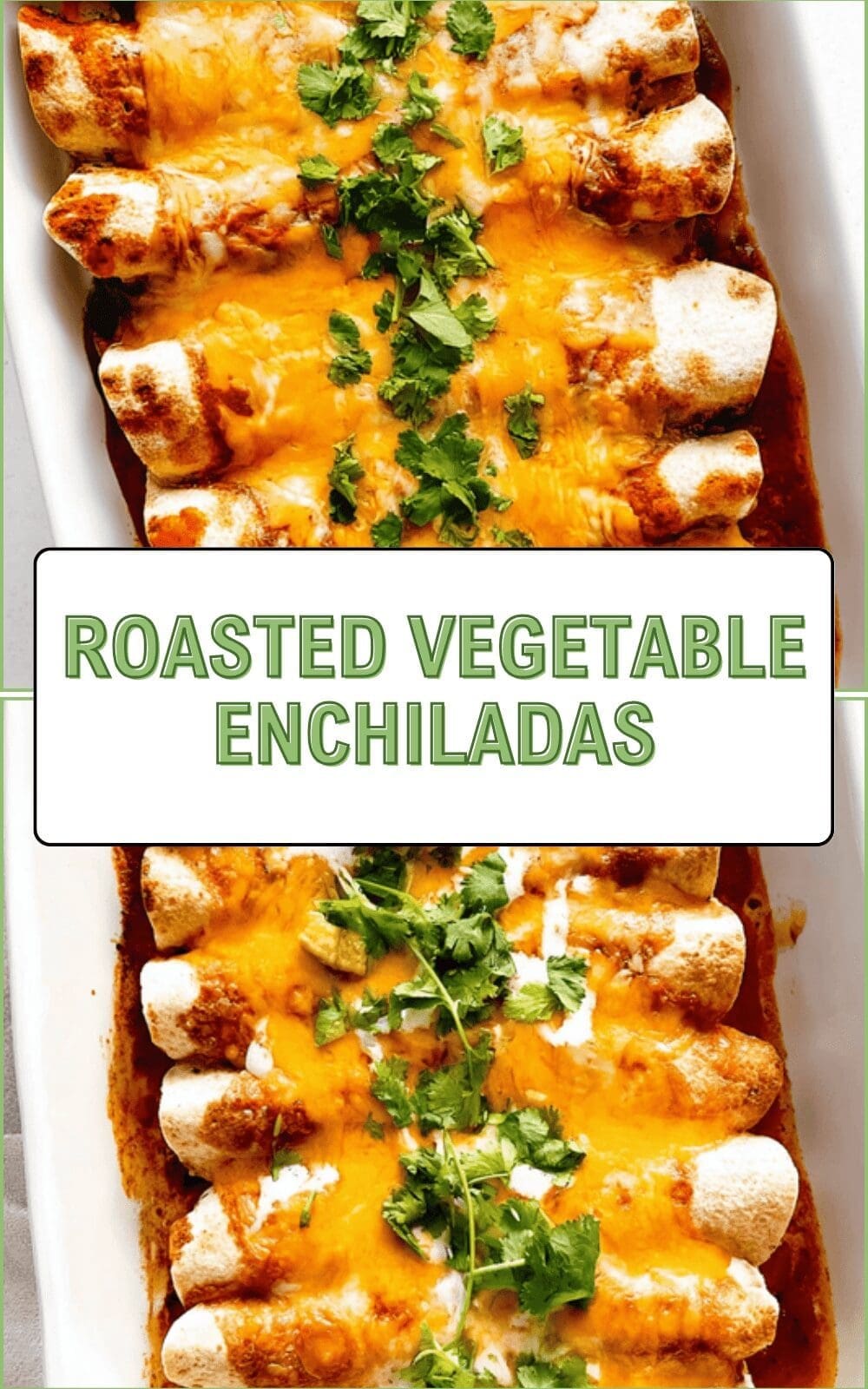 Roasted Vegetable Enchiladas