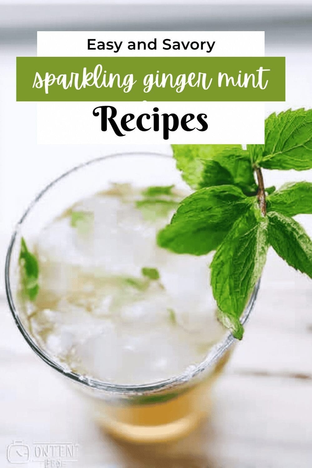 Sparkling Homemade Ginger Mint Julep And Chai Recipes 7 Sparkling Ginger Mint Juleps