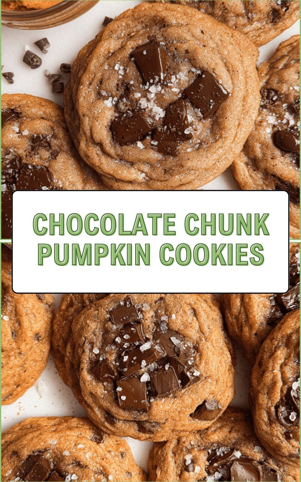 Chocolate Chunk Pumpkin Cookies
