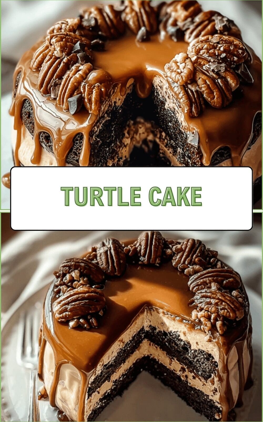 Chocolate Turtle Cake Recipe With Gooey Caramel And Nuts 6 Turtle Cake