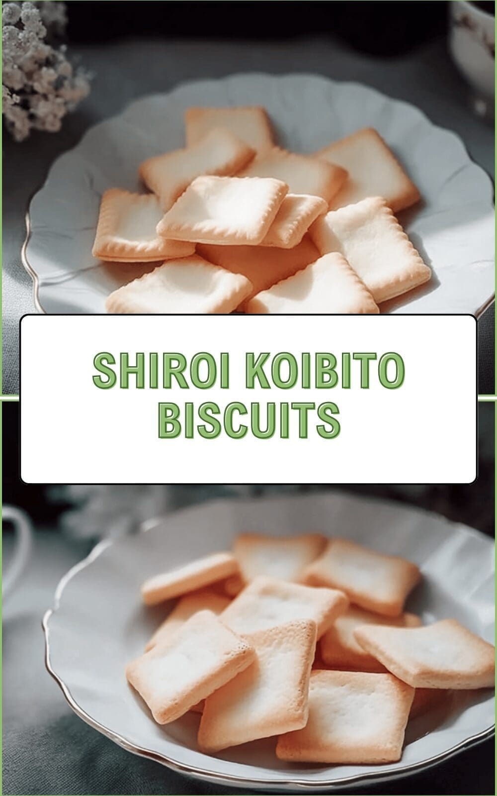 Shiroi Koibito Biscuits