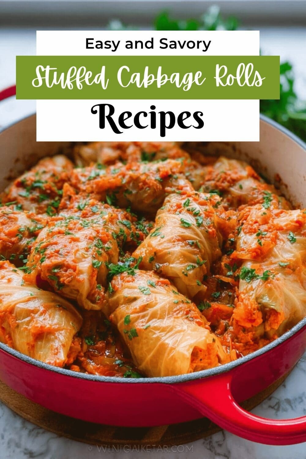Easy Cabbage Rolls Recipe With Simple Ingredients For Every Meal 7 Stuffed Cabbage Rolls