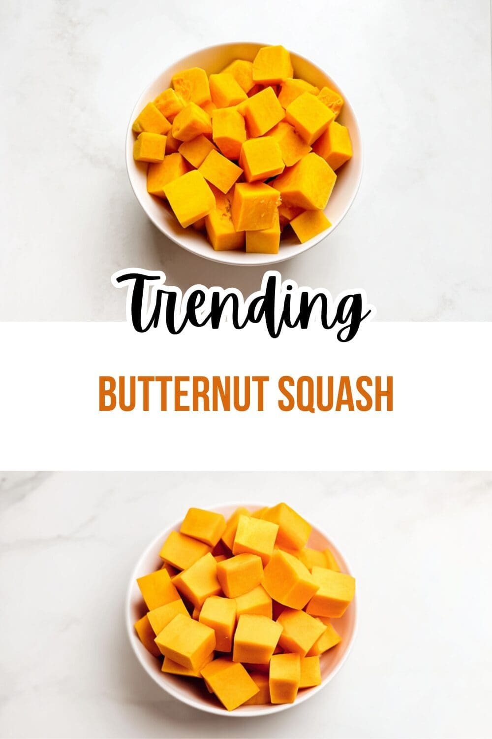 Butternut Squash