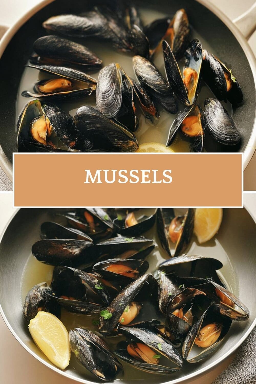 Mussels
