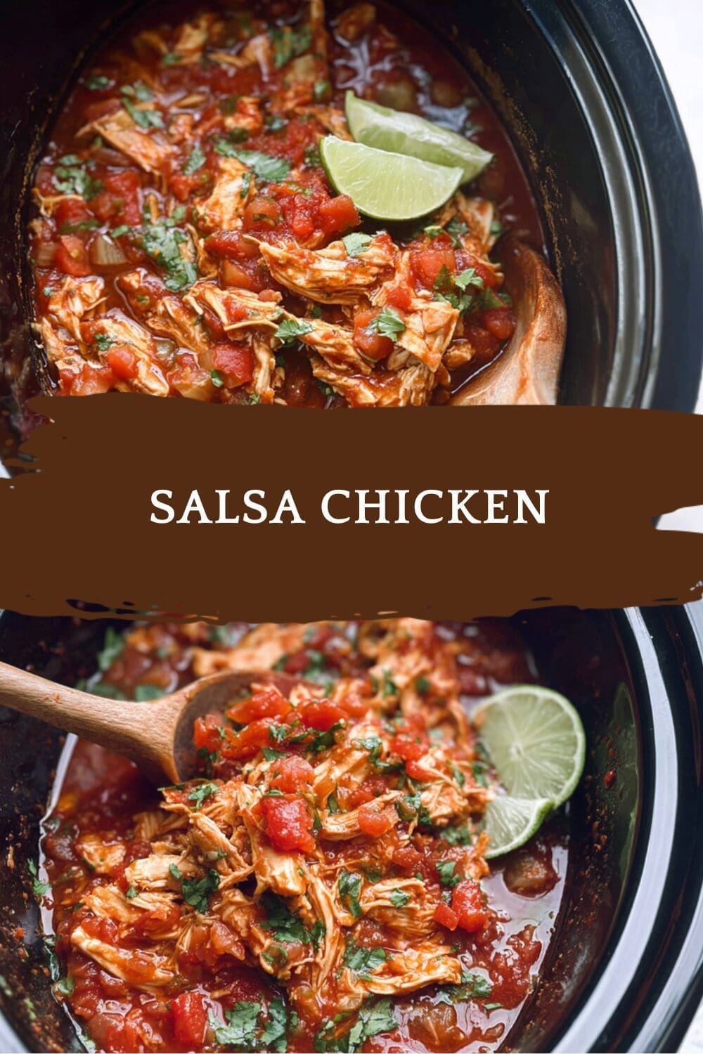 Salsa Chicken