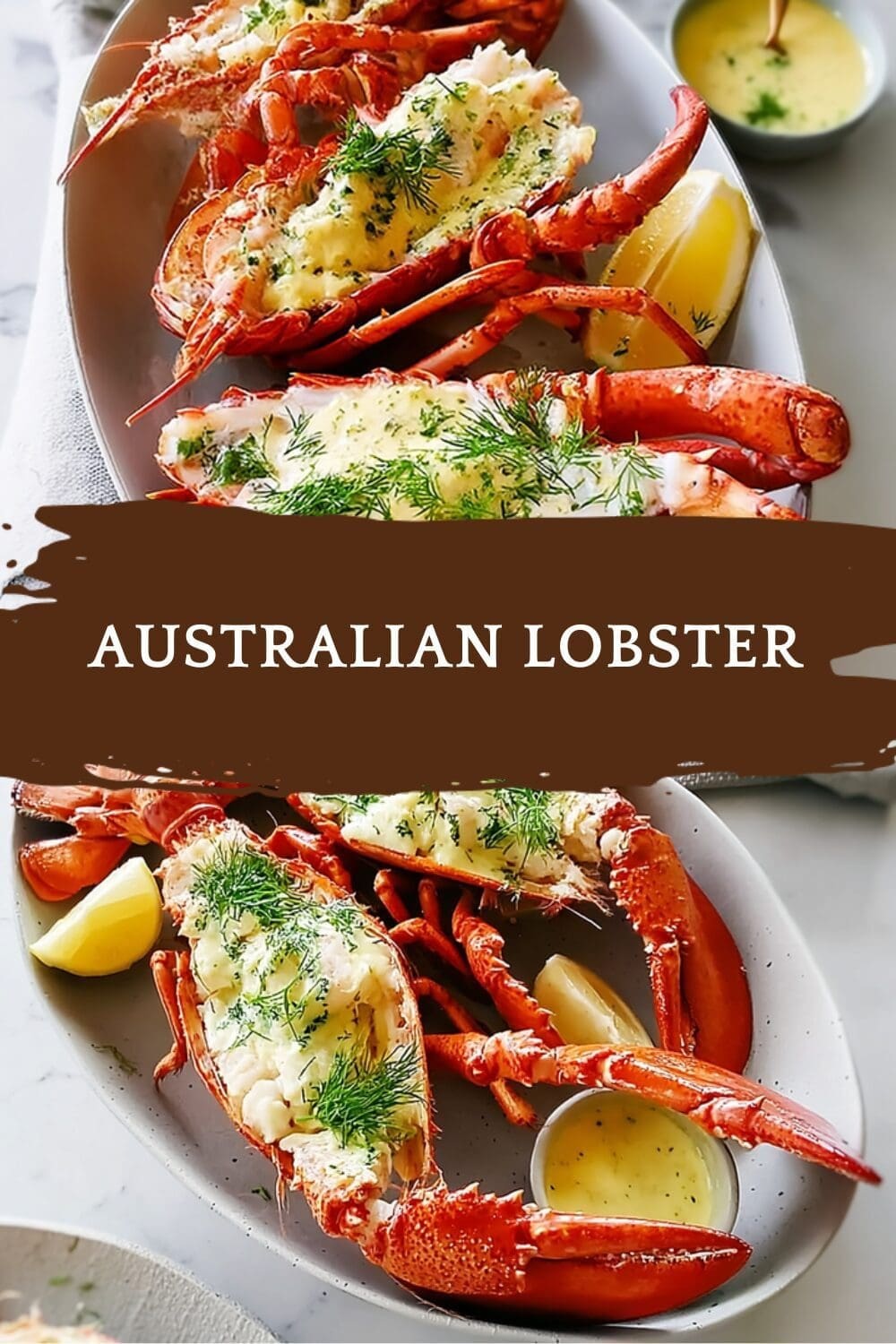 Australian Lobster