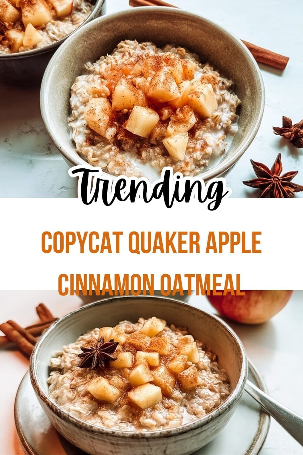 Apple Cinnamon Oatmeal: Creamy Breakfast With Brown Sugar And Toasted Pecans 7 Copycat Quaker Apple Cinnamon Oatmeal