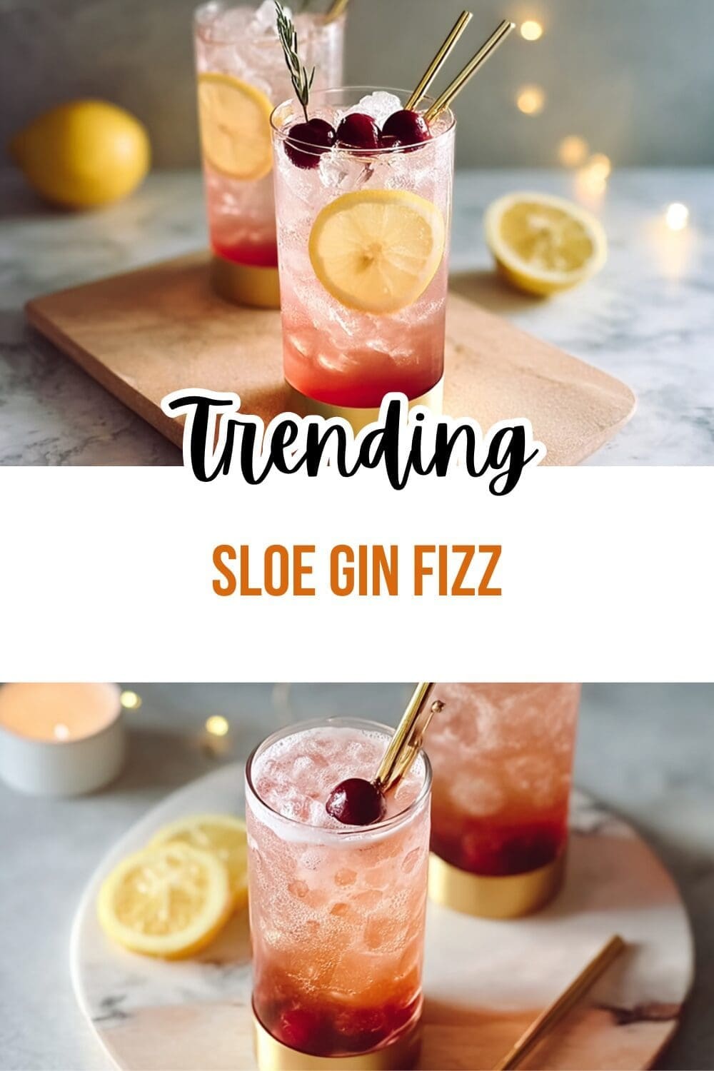 Easy Sloe Gin Fizz Recipe With Simple Step By Step Instructions 7 Sloe Gin Fizz