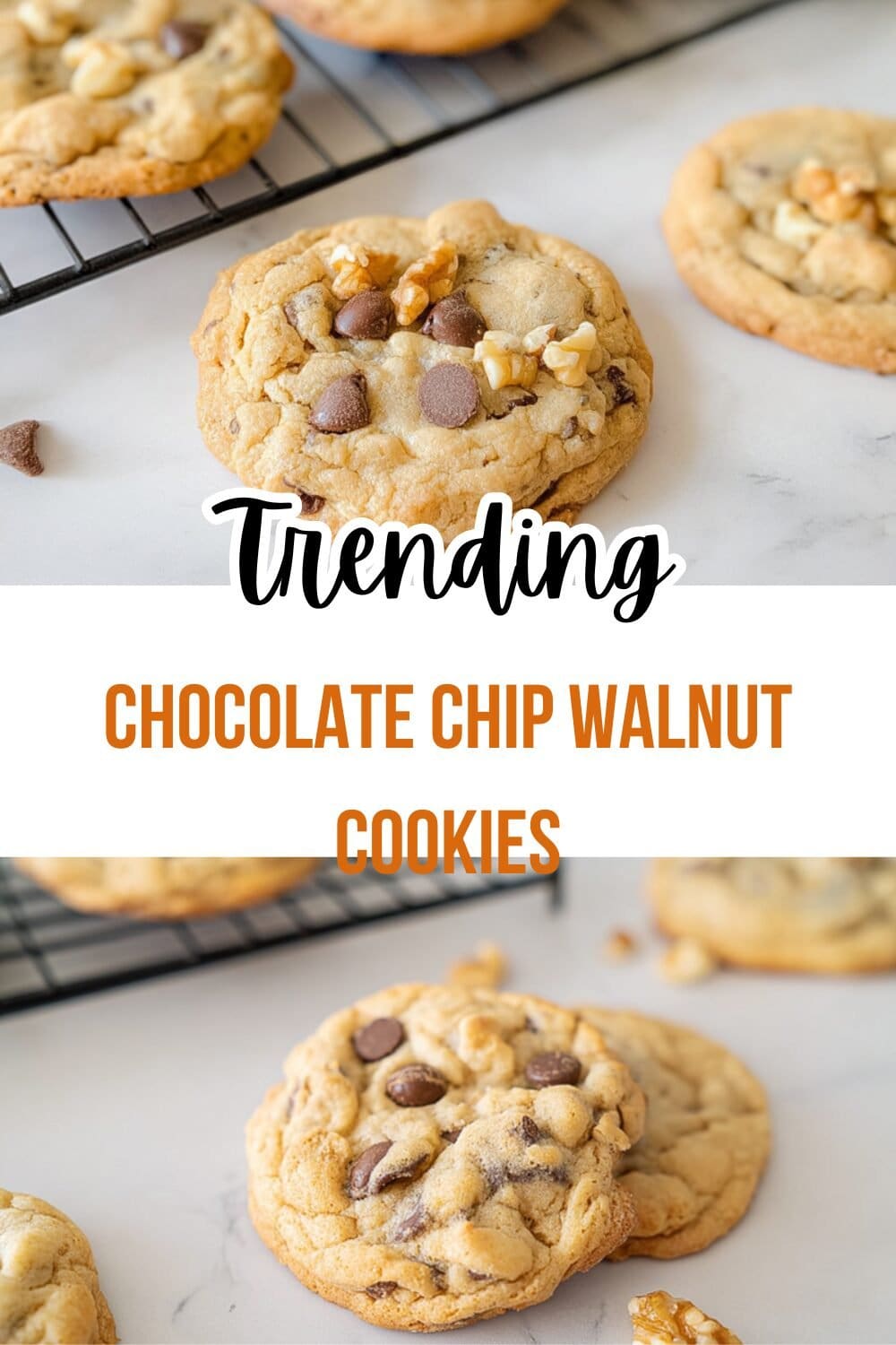 Chocolate Chip Walnut Cookies