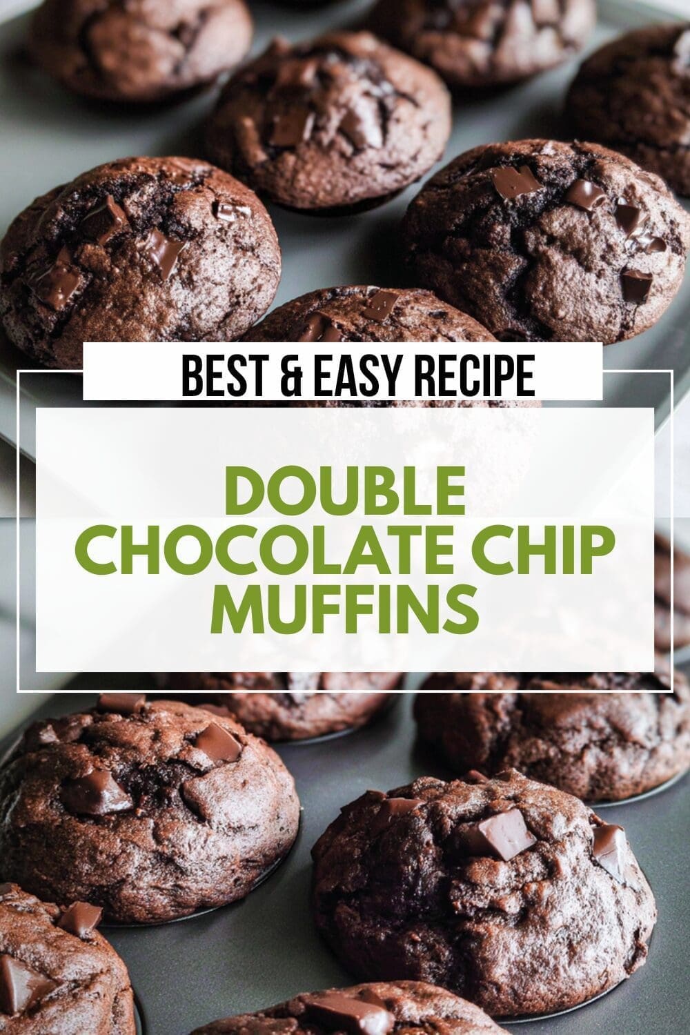 Double Chocolate Chip Muffins