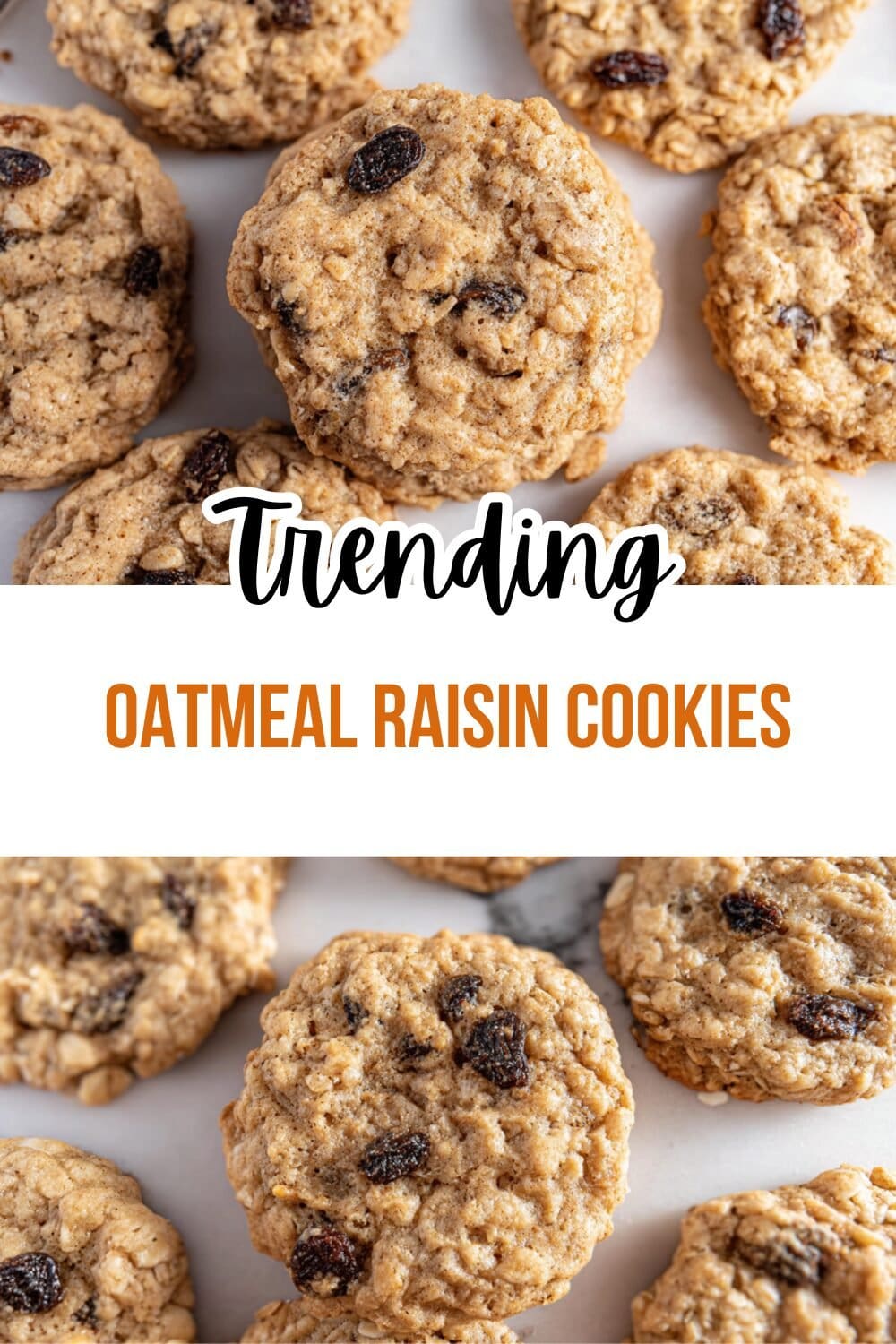 Oatmeal Raisin Cookies Recipe Soft And Chewy 4 Oatmeal Raisin Cookies