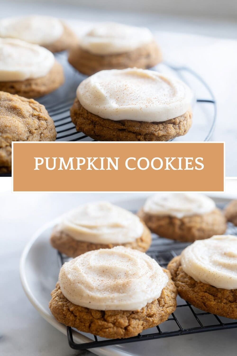 Chewy Pumpkin Cookies Easy Recipe 4 Pumpkin Cookies