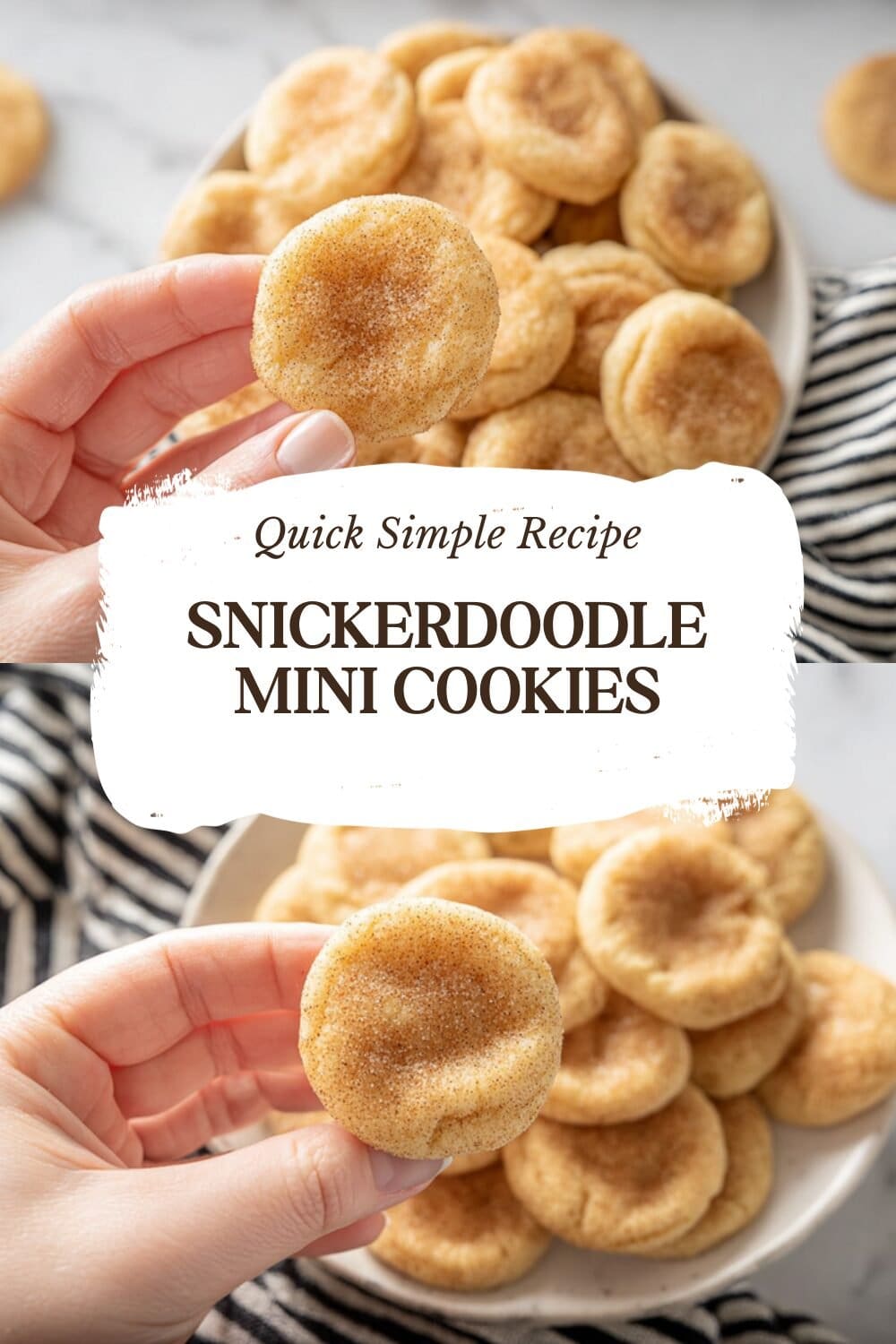 Mini Snickerdoodle Cookies Recipe Soft Chewy Bites 7 Snickerdoodle Mini Cookies