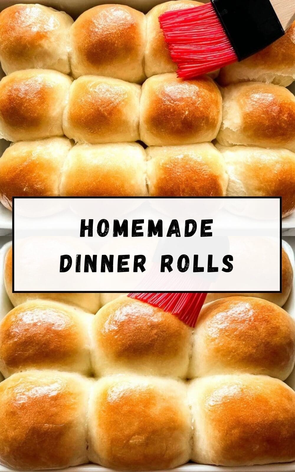 Homemade Dinner Rolls