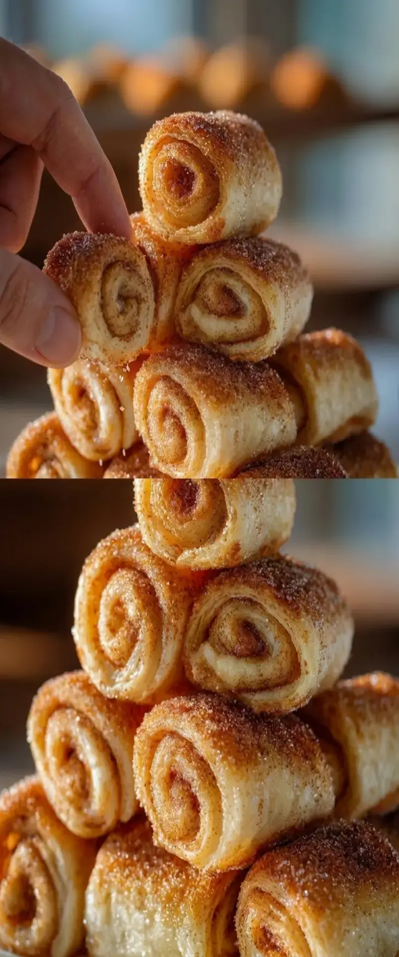 Sugar Snails